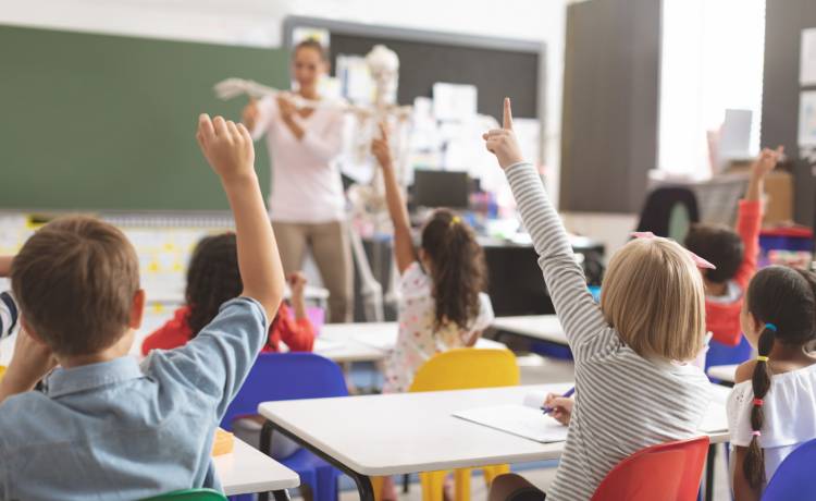 Niewłaściwe traktowanie zwierząt w przedszkolu. Dziecko stanęło w obronie płazów, wyrzucono je z placówki