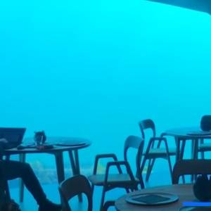 Podwodna restauracja "Under" już otwarta. Wnętrza robią wrażenie!