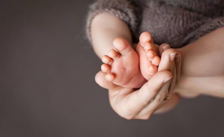 Urocze zdjęcie sześcioraczków hitem sieci! "Misiaki w koplecie"