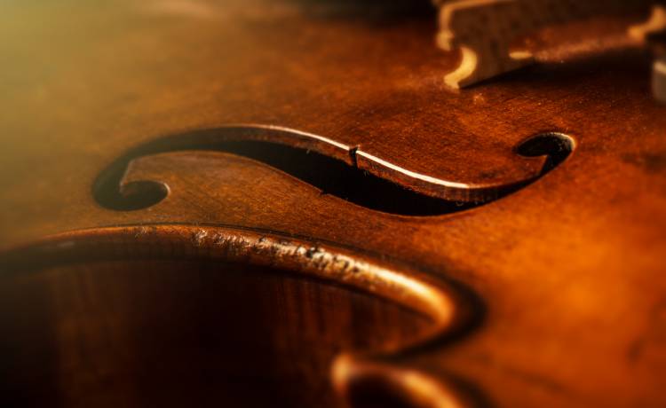 Obsługa zabroniła mu wnieść na pokład skrzypiec za 5 milionów euro