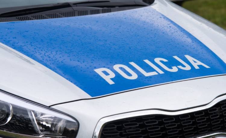 Znęcał się nad kundelkiem, kręcił nim "bączki" i bił. Mężczyzna usłyszał zarzuty