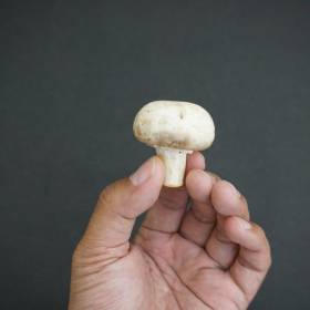 Gdzie trzymać pieczarki? Rolniczka mówi wprost