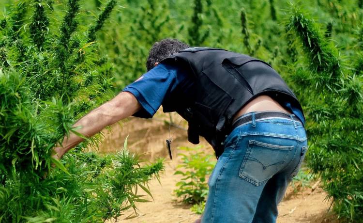 Poszukiwania zakończone. Policja odnalazła mężczyznę, za którym wydano list gończy. Znalazł sobie nietypową kryjówkę…