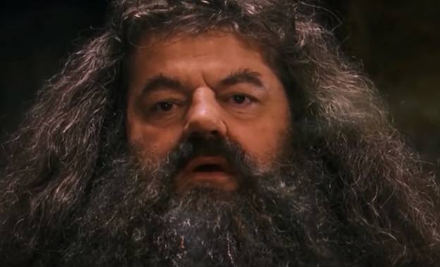 Robbie Coltrane - filmowy Hagrid - walczy z poważną chorobą. Aktor porusza się na wózku