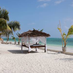 Pan Lektor pokazał twarz. Tak wygląda tajemniczy głos "Hotelu Paradise" [ZDJĘCIA]