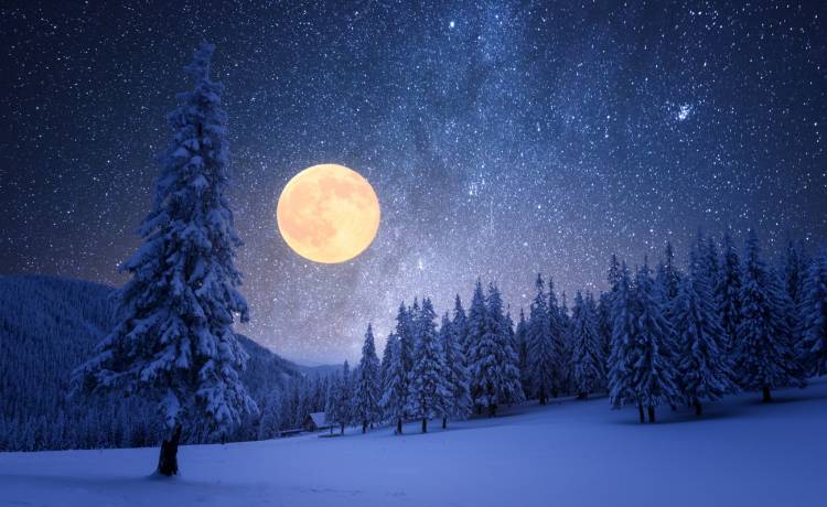 To będzie niesamowity spektakl. Księżyc Wilków już wkrótce!