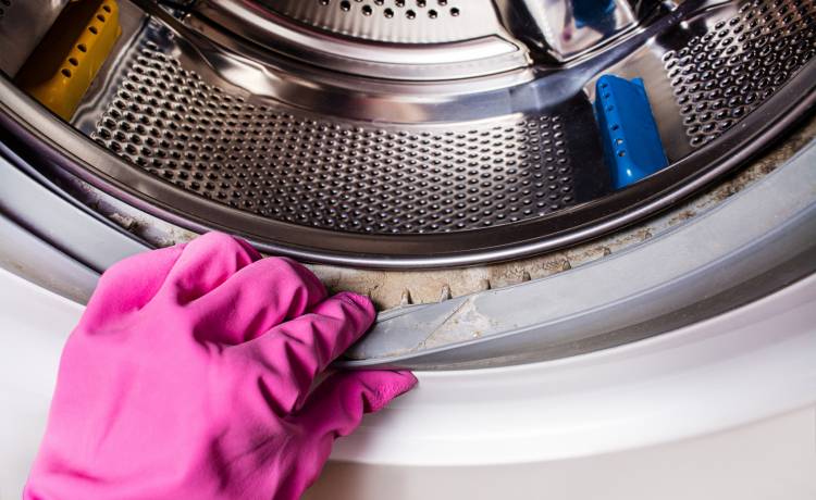 fot. shutterstock.com 