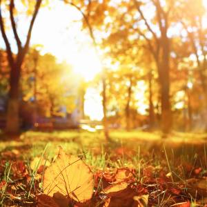 Późny upał na południu Europy. Temperatura sięgnie 32 stopni – lato nie odpuszcza!