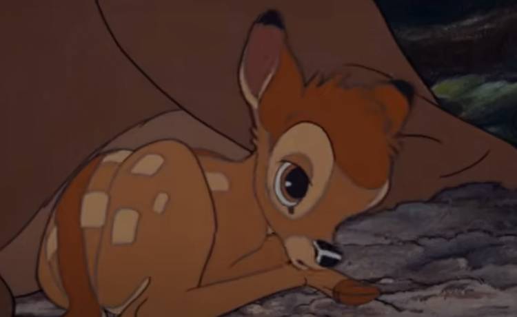 Bambi będzie zabijał. Legendarna animacja zostanie przerobiona na horror