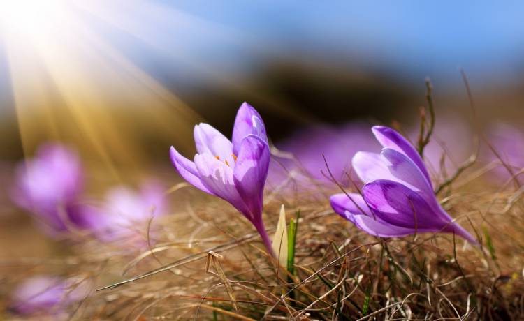 fot. Volodymyr Martyniuk