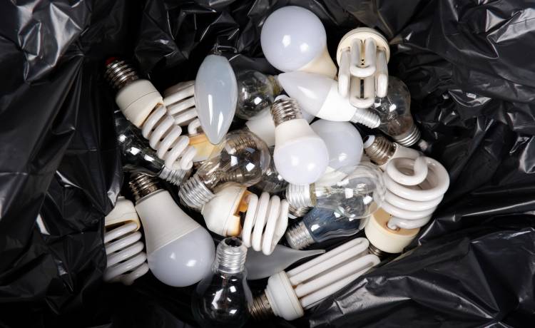 fot. shutterstock.com