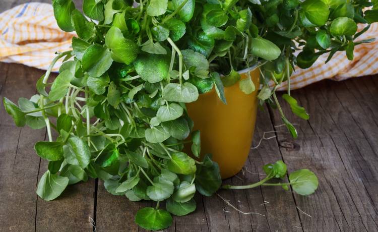 fot. shutterstock.com