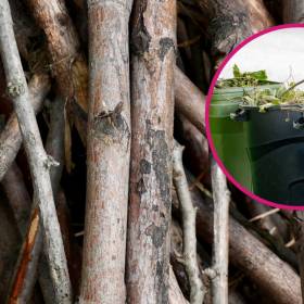 Dlatego ludzie nie wyrzucają gałęzi po wycince. Nie wszyscy wiedzą, jak oszczędzić setki złotych 