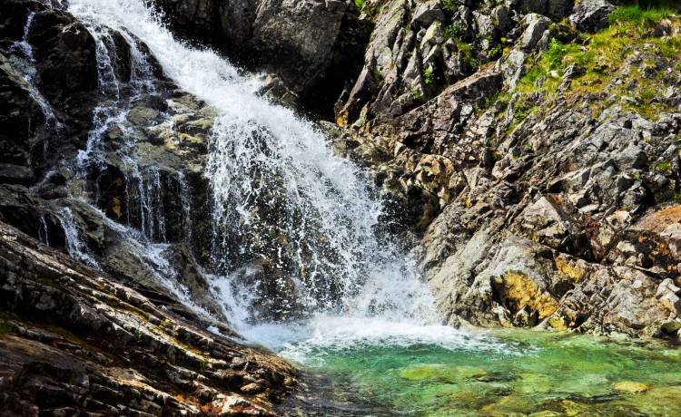 fot. shutterstock.com