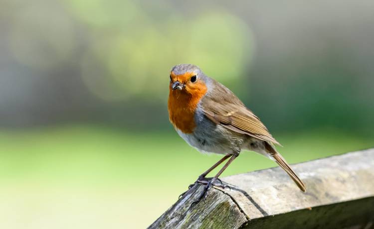 fot. shutterstock.com