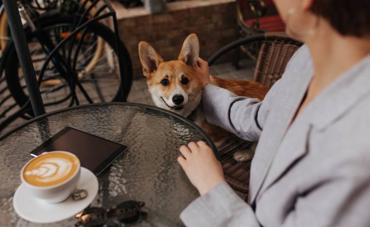 zdjęcie ilustracyjne, fot. Shutterstock/Look Studio