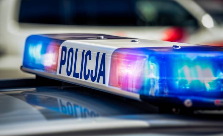 Kierowca zjechał w drogę leśną i utknął na skarpie przy drzewie. Teraz grozi mu kara - jak to się stało?