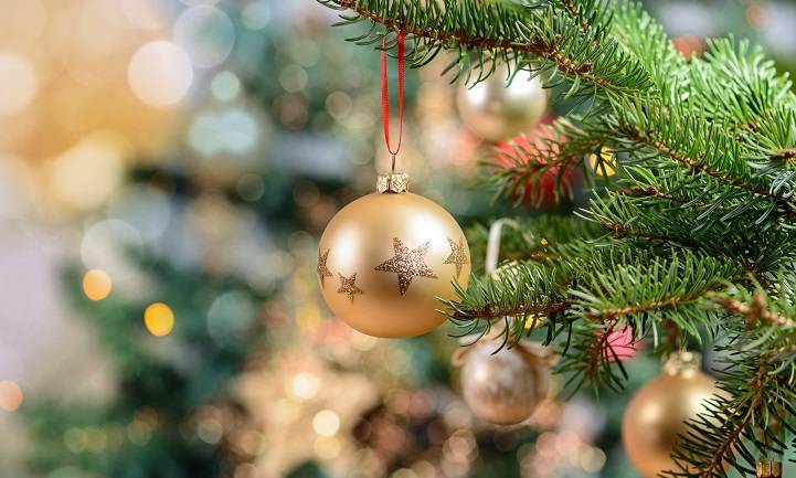 Dlaczego choinka jest symbolem świąt Bożego Narodzenia? 