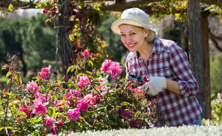 fot. shutterstock.com