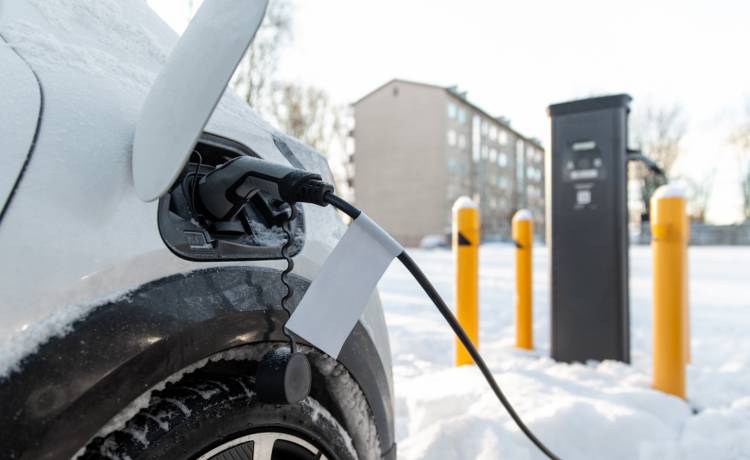 zdjęcie ilustracyjne, fot. Shutterstock/Ground Picture