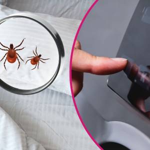 Jak prać, by nie niszczyć ubrań i pozbyć się roztoczy? Ekspert mówi, że to najlepsza temperatura