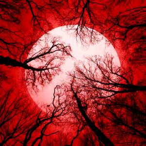 Księżyc Śmierci już wkrótce. Marcowa pełnia ma też inne nazwy