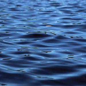 Myśleli, że ratują tonącą kobietę. Okazało się, że to... dmuchana lalka. Ten widok zapamiętają do końca życia! [FOTO]