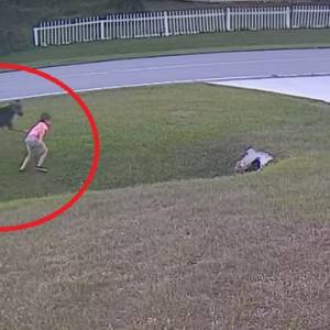 Pies sąsiada rzucił się na małego chłopca. W jego obronie stanął owczarek! [WIDEO]