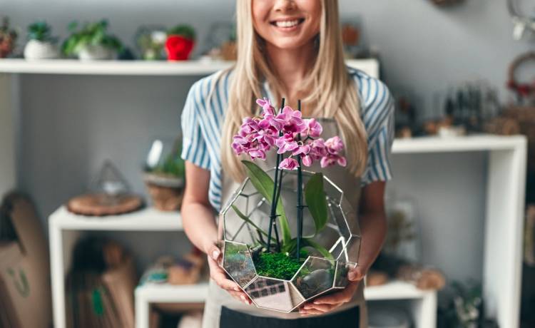 fot. shutterstock.com