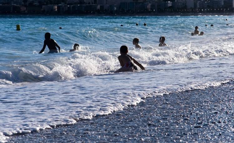 W kołowrotku dla chomika próbował przepłynąć ocean. Dostał zakaz wchodzenia do wody [FOTO]