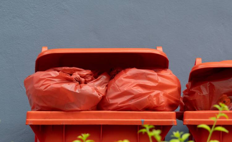 fot. shutterstock.com 