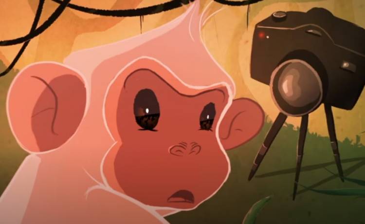 3. Kraków Green Film Festival. Ruszył bezpłatny serwis VOD!                                                                                 