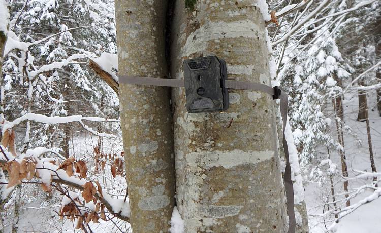 fot. shutterstock.com