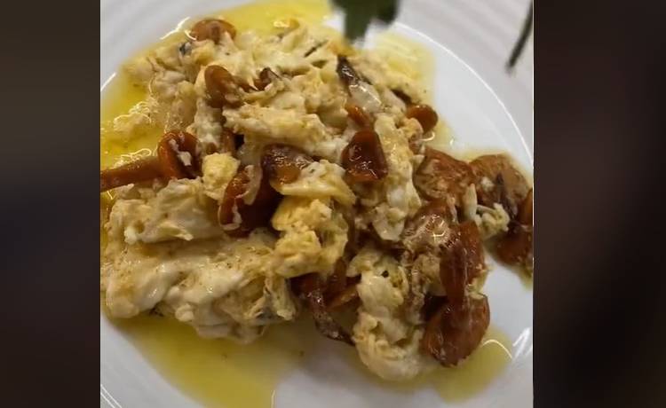 Tiktokerka zjadła jajecznicę z trującymi grzybami. Film ma ponad milion wyświetleń! "Pamiętajcie, aby z rozwagą oglądać filmy od Waszych influencerów" [WIDEO]