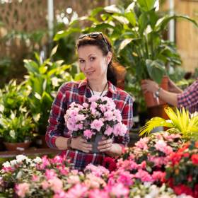 Tak pobudzisz rododendron do kwitnienie. Wystarczy jeden składnik z kuchni!