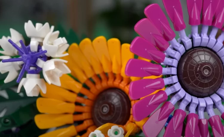 fot. kadr z YouTube'a