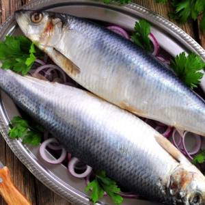 Świąteczne przekąski. Tatar ze śledzia z suszonymi pomidorami PRZEPIS