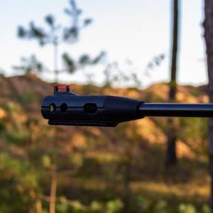 Wiatrówka - jakie przepisy obowiązują w Polsce?