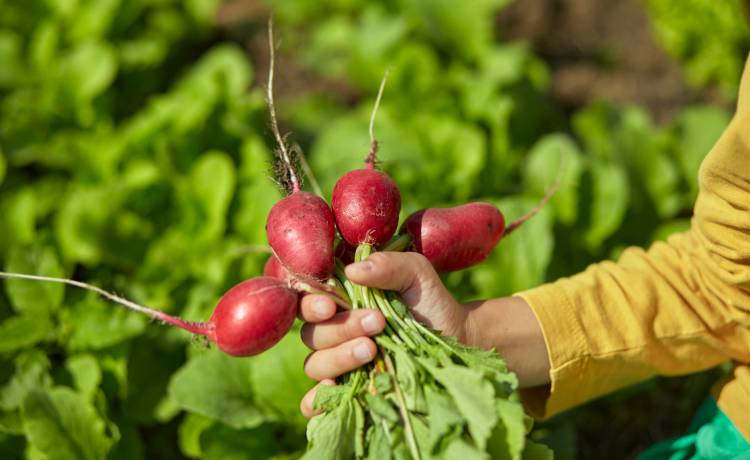 fot. shutterstock.com