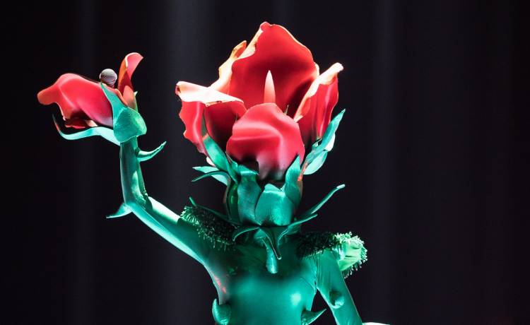 "Mask Singer". Kim jest Róża? Internauci na tropie kolejnego uczestnika