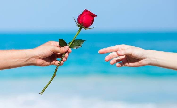 "M.O.M - Milf of Missy" z polską wersją? Powstanie kolejny randkowy program! 