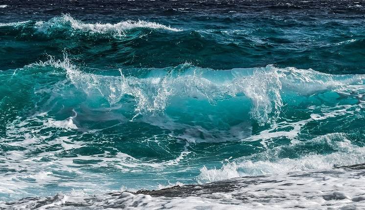 "Potwór” z głębi pływa po oceanach. Ma przezroczyste ciało. To koniecznie trzeba zobaczyć! [WIDEO]