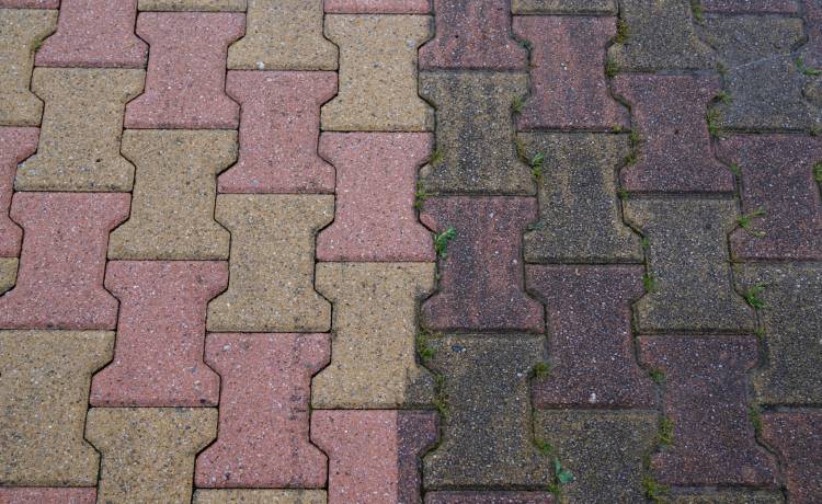 fot. shutterstock.com