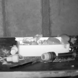 Rzeczy z jego garażu znikały. Ukryta kamera pokazała, kto za tym stał... [WIDEO]