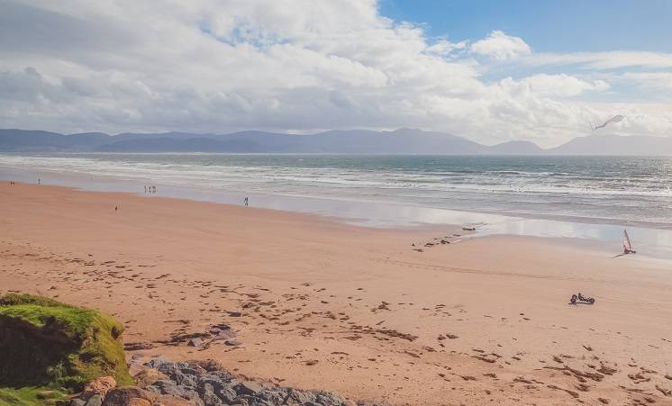Na plaży znaleziono ogromne zwierzę. Musicie to zobaczyć! [WIDEO]
