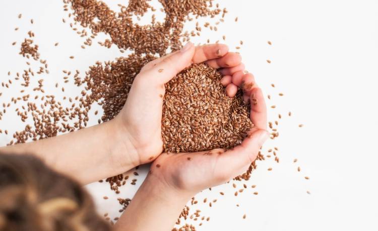 fot. shutterstock.com