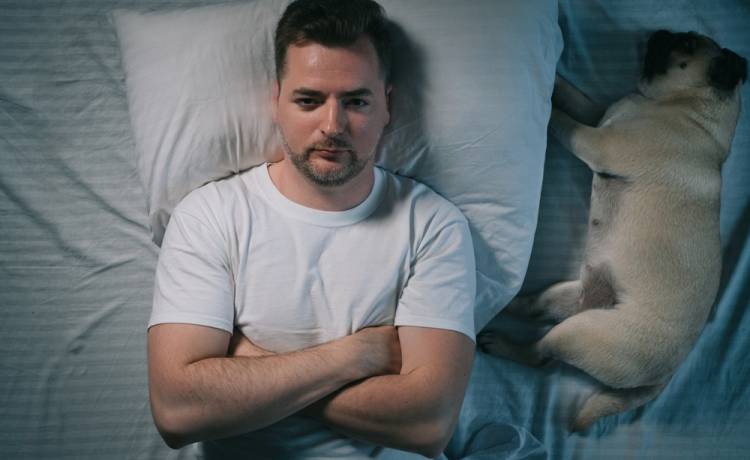 Dlaczego budzimy się w nocy? Naukowcy rozwiewają wątpliwości, fot. Shutterstock