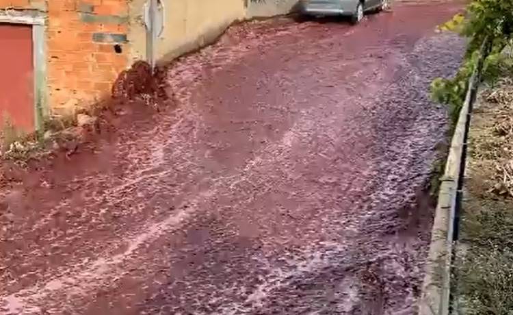 Ulice Portugalii spłynęły... winem. To wynik awarii miejscowej destylarni [WIDEO]