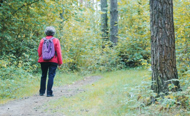 Wybierasz się na grzybobranie? Jest aplikacja, która pomoże Ci w lesie!