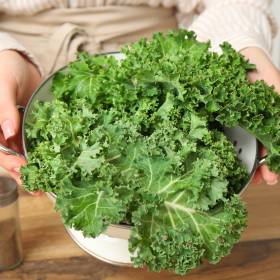 Kiedyś jedynie barwił desery, dziś uważany jest za jedno z najzdrowszych warzyw! Warto dodać do jadłospisu